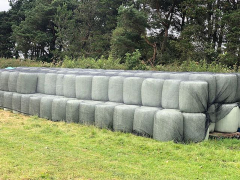 Picture shows small round bales of haylage, sitting in a field of grene grass, wrapped in cylo-tex and protected with a mesh net